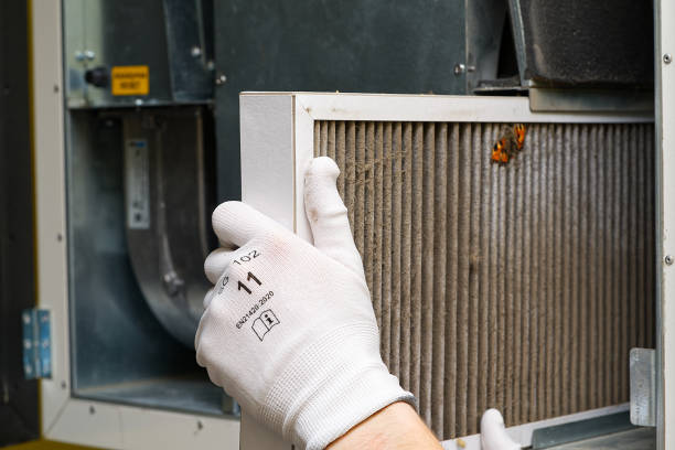 Best Local Air Duct Cleaning Services  in Hampton Beach, NH